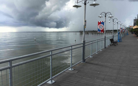 How a Fence Company Helps Enhance Safety and Property Appearance