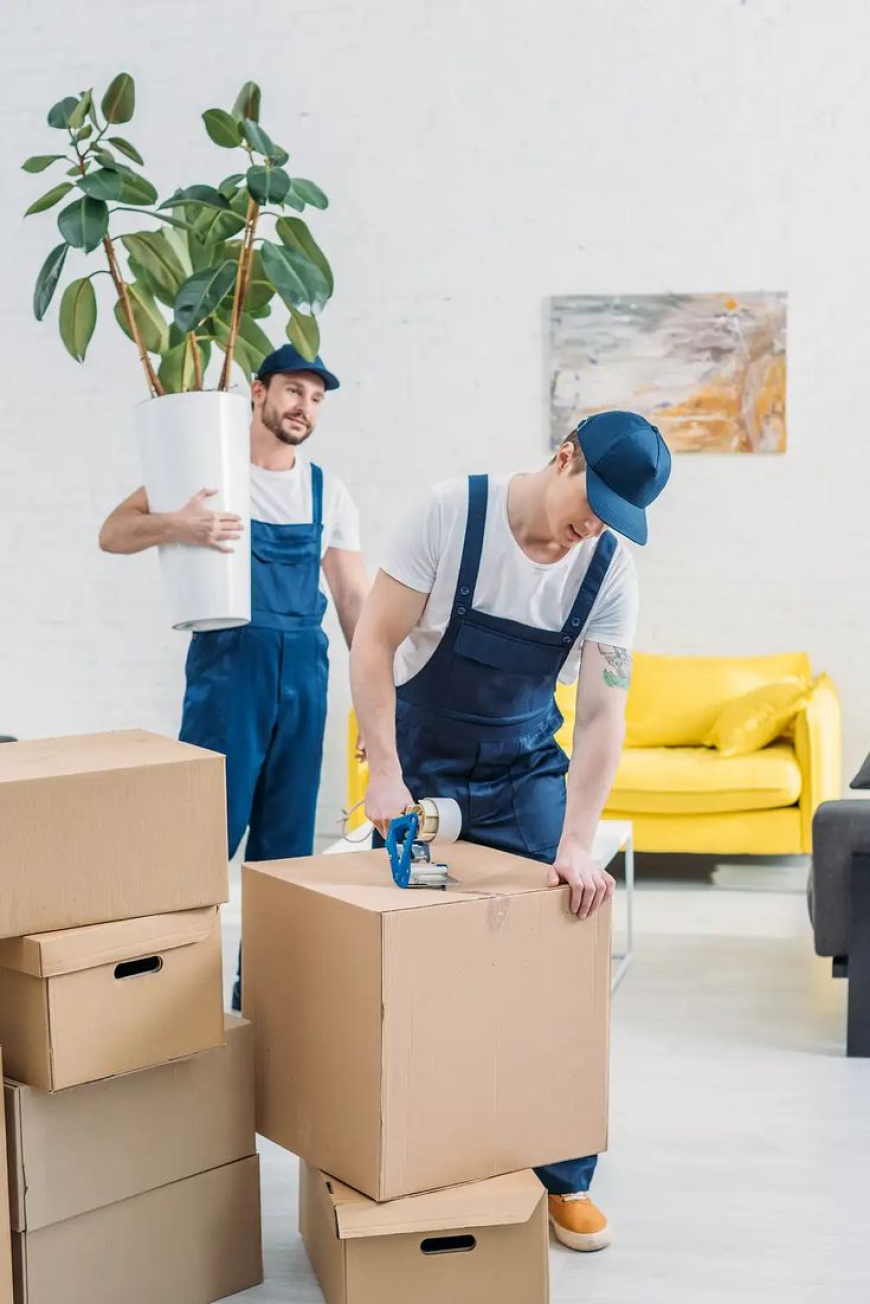 The Ultimate Guide to Furniture Movers and Packers in Dubai​: Stress-Free Relocation with Delight Box Move