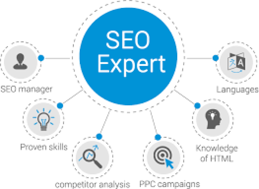 SEO Expert Near Me & SEO Expert in Pakistan Guide