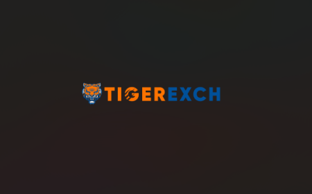 Tiger365 Pro Security Guide: How to Protect Your Betting Account and Transactions