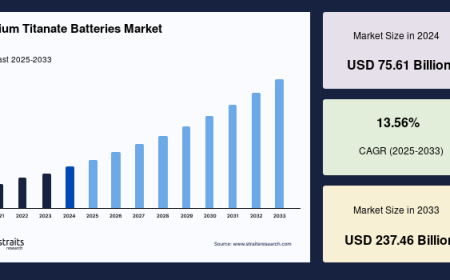 Lithium Titanate Batteries Market Trends, Growth Drivers, and Future Opportunities