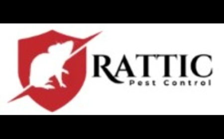 Professional Pest Solutions