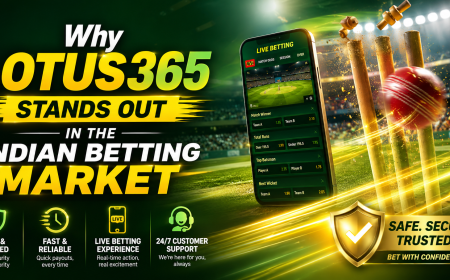 Why Lotus365 Stands Out in the Indian Betting Market