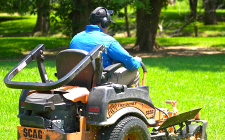 Westlake Landscape Maintenance: A Complete Guide to Healthy Outdoor Spaces