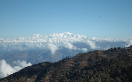 State Symbols of Uttarakhand