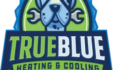 Expert AC Repair in Spring Hill, TN | Call True Blue Air