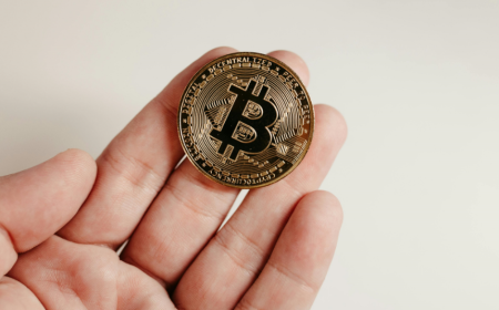 The Essential Crypto Investor Playbook for 2026
