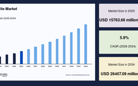 Zeolite Market Trends, Growth Drivers, and Competitive Landscape