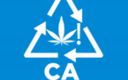Hazardous Waste Management Disposal: Understanding Cannabis Waste and Why Proper Disposal Matters