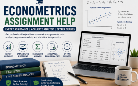 Econometrics Assignment Help: A Complete Academic Guide for Students