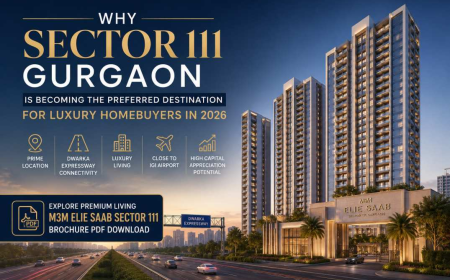 Why Sector 111 Gurgaon Is Becoming the Preferred Destination for Luxury Homebuyers in 2026