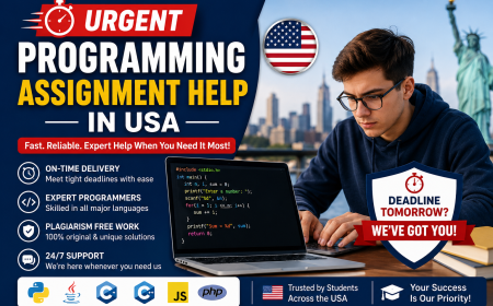 Stuck with a Coding Deadline? Get Urgent Programming Assignment Help Today
