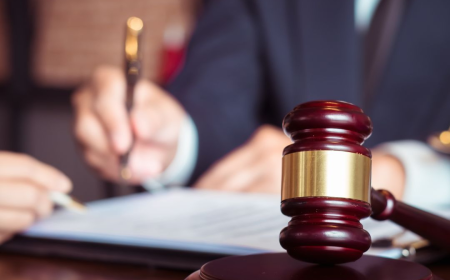 Why Employees Trust an Employment Lawyer Toronto for Workplace Disputes