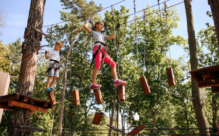 What Makes a Summer Day Camp Program Actually Worth Joining Today