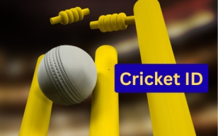 The Role of Customer Support in Trusted Cricket ID Services
