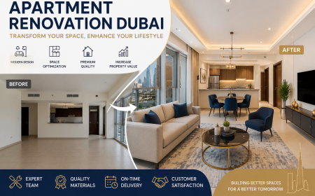Apartment Renovation Dubai for Elegant and Modern Interiors