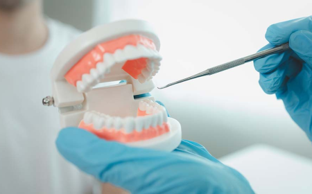 What Should You Know Before Choosing Dentist Insurance Plans?