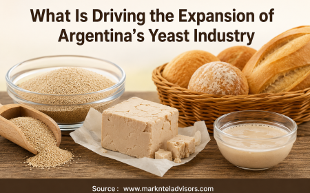 What Is Driving the Expansion of Argentina’s Yeast Industry?