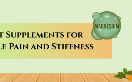 Best Muscle Recovery Supplements for Active Lifestyles