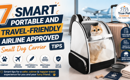 7 Smart Portable and Travel-Friendly Airline Approved Small Dog Carrier Tips