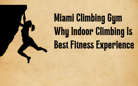 Miami Climbing Gym Why Indoor Climbing Is Best Fitness Experience