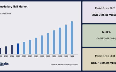 Intramedullary Nail Market Size, Share and Forecast Through 2034