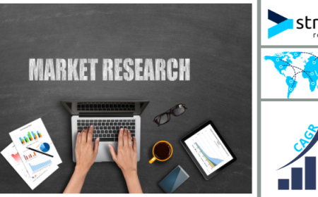 Rising Awareness of Maternal Well-Being Fuels Maternal Mental Health Market Growth