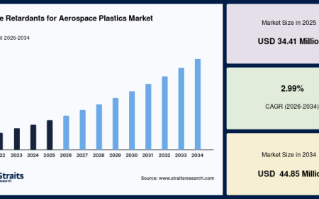 Flame Retardants for Aerospace Plastics Market CAGR Analysis and Future Industry Outlook Through 2034
