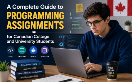 What Is Programming and Why Is It an Essential Skill for Students?