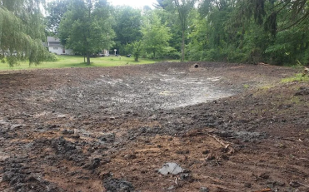 Can Professional Land Clearing Turn Overgrown Property Into Valuable Land?