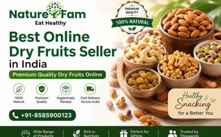 Dry Fruits Combo Gift Pack | NatureFam Premium Gift Box