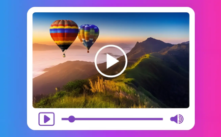 Snapinsta Video Downloader: Is It the Best Free Tool Out There?