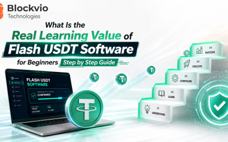 What Is the Real Learning Value of Flash USDT Software for Beginners Step by Step Guide