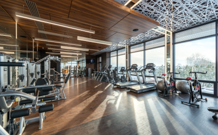 The Complete Guide to Choosing Fitness and Sports Equipment in the UAE