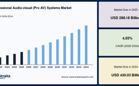 Hybrid Work Environments Fueling the Professional Audio-visual (Pro AV) Systems Market