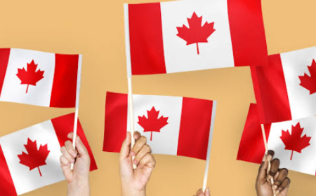 Common Reasons for Receiving a Procedural Fairness Letter in Canada