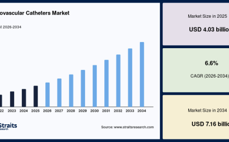 Neurovascular Catheters Market Revenue and Competitive Landscape