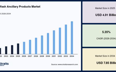 Car Wash Ancillary Products Market Trends and Future Outlook 2034