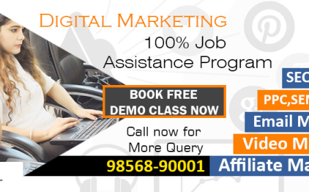 Build a Rewarding Career with Digital Marketing Training in Chandigarh