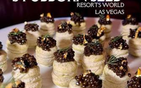 Discover a Premium Restaurant Experience at Stubborn Seed Las Vegas