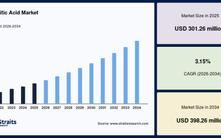Palmitic Acid Market Forecast 2034: Sustainable Oleochemicals to Drive Growth