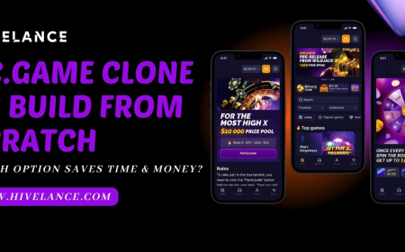 BC.Game Clone vs Building From Scratch - Which Option Saves Time & Money?