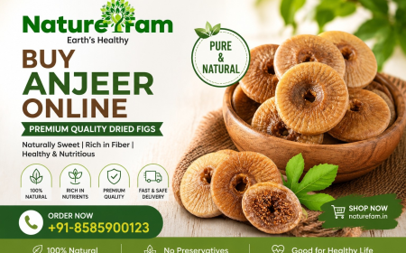 Buy Anjeer Online at Best Price | Premium Dried Figs – Naturefam