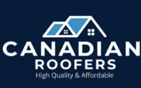 Roofing Company in Toronto | Repair & Installation Experts