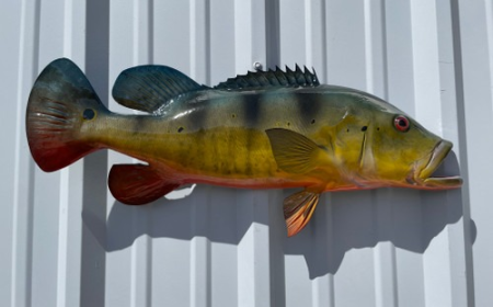 Premium Fish Mount Replica Services in the USA – Preserve Your Catch with Precision