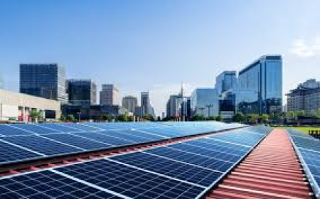 Top Solar Companies in Pakistan: How to Choose the Right Solar Energy Partner