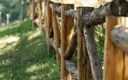 Buy Black Locust Split Rail Fence: Complete Guide