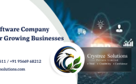 Professional Website Maintenance Services in Trichy