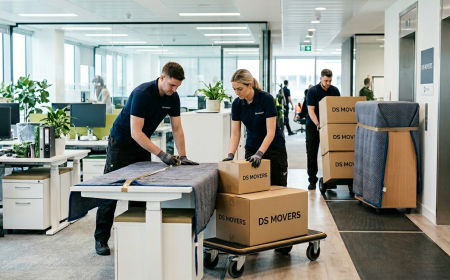 Professional Office Moving Services | DS Movers Experts