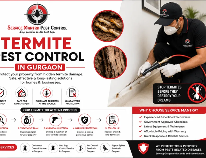 Best Termite Pest Control in Gurgaon | Safe Anti-Termite Treatment for Homes & Offices